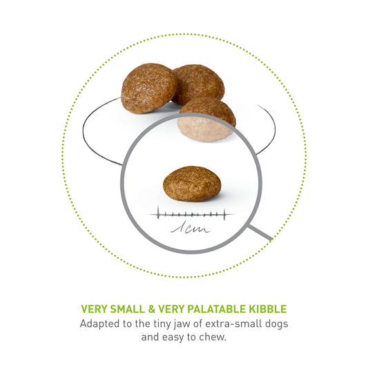 Royal Canin Adult X-Small