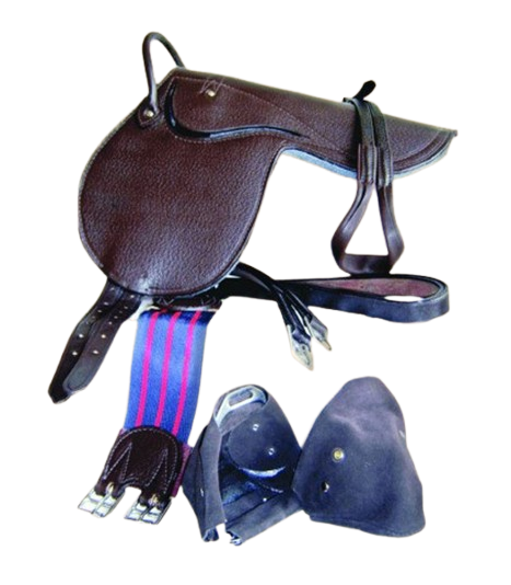 Trident Fitted Pony Pad