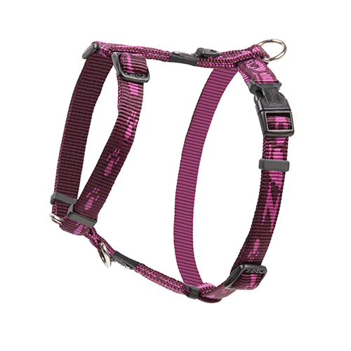 Rogz Alpinist Classic Harness