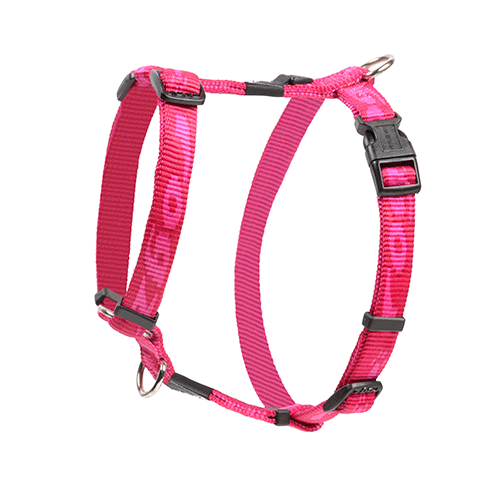Rogz Alpinist Classic Harness