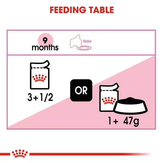 Royal Canin Kitten Sterilised in Jelly Pouch