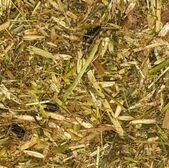 Equifeeds Horse Pasture Plus (Meal) 20kg