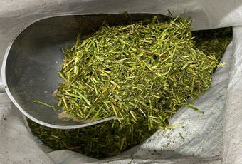 Equifeeds Horse Alfalfa Plus (Meal) 20kg