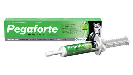 Pegaforte Paste 10g