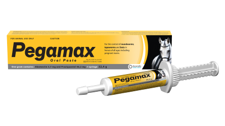 Pegamax 32.4g